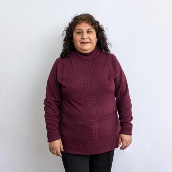 ROSA LLANQUIHUEN HUINA